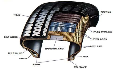 Cross-section diagram of a tyre showing internal components